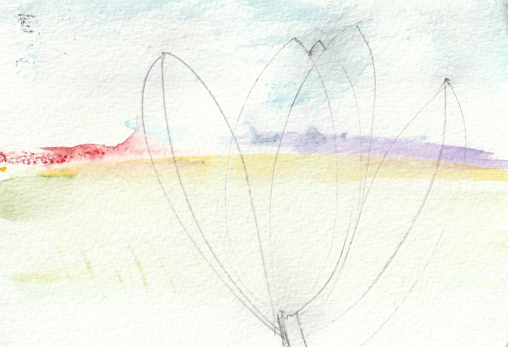 Bulb Fields VII